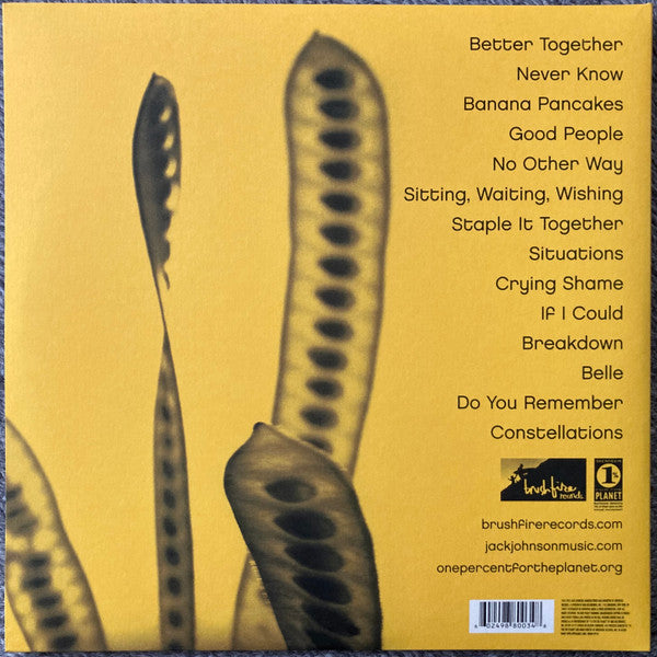 Jack Johnson - In Between Dreams (Gatefold, Vinyl Record LP) rear