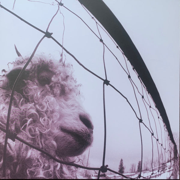 Pearl Jam – Vs. (LP 30th Anniv. Clear Vinyl Record) cover