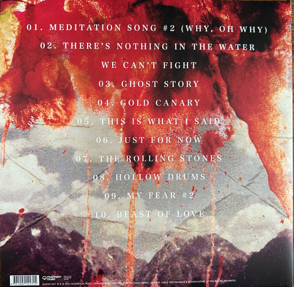 Cloud Control – Bliss Release (15th Anniversary Black Bio-Vinyl LP) rear