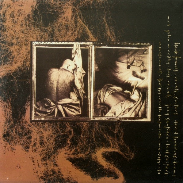 Pixies - Come On Pilgrim (12") Vinyl Record rear
