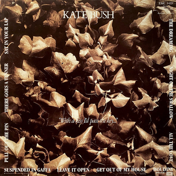 Kate Bush - The Dreaming (180g, Remastered) Vinyl Record rear