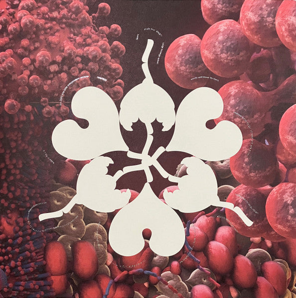 Björk Vinyl Records Australia