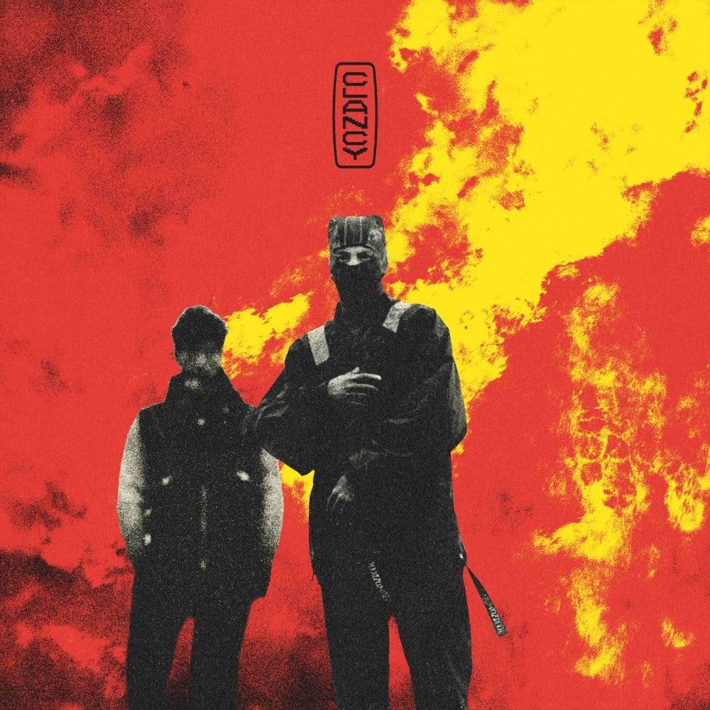 Twenty One Pilots Vinyl Records Australia