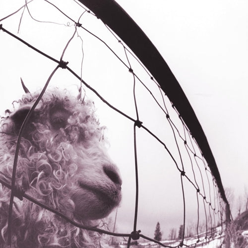 Pearl Jam – Vs. (30th Anniversary Vinyl 2LP) cover
