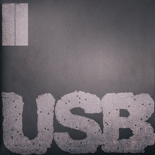 Fred again.. – USB002 (Vinyl 2LP) cover
