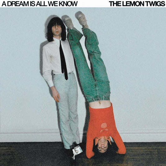 The Lemon Twigs - A Dream is All We Know