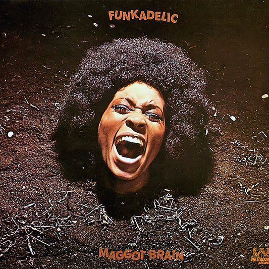 Funkadelic - Maggot Brain (Ace Records) Vinyl Record front