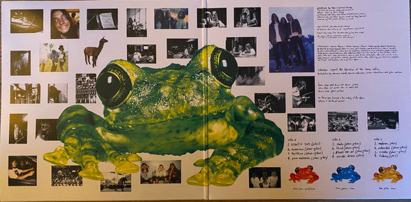 Silverchair – Frogstomp (2LP) Vinyl Record foldout