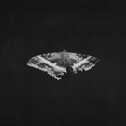 Kendrick Lamar - To Pimp A Butterfly (2LP 10th Anniv. Alternate Artwork Black Marble Vinyl Record) Pre-Order front